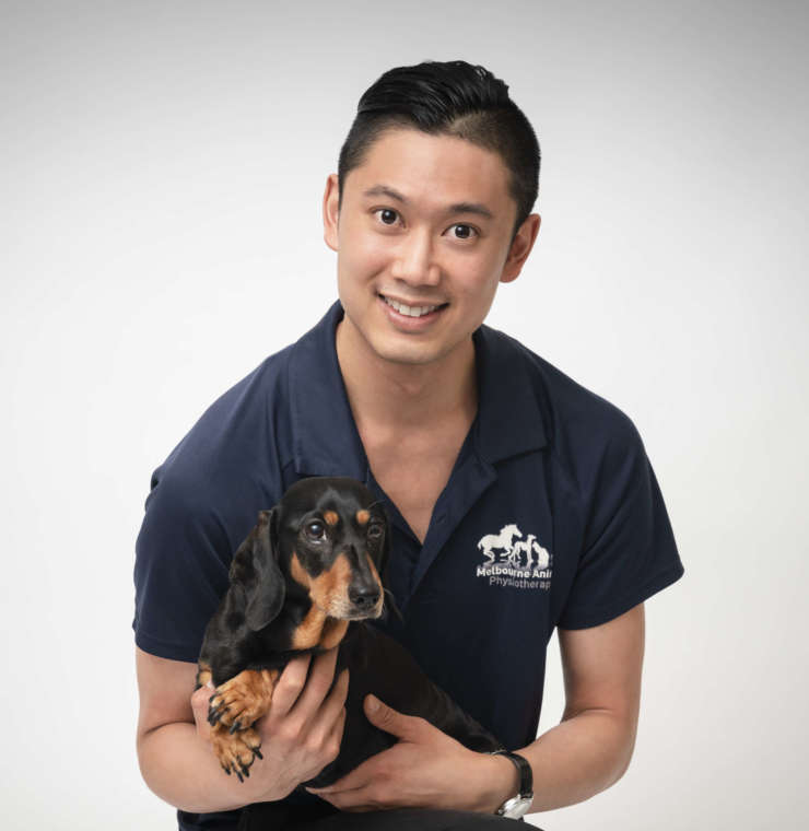 About Us – Melbourne Animal Physiotherapy
