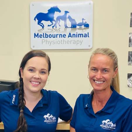Melbourne-Animal-Physiotherapy-4