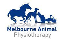 Melbourne Animal Physiotherapy