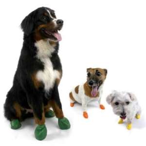 Dr Buzby's Toe Grips – Melbourne Animal Physiotherapy